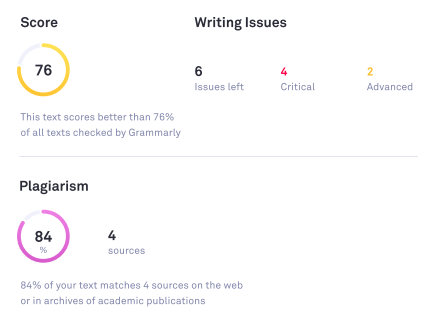 Grammarly in-depth report example