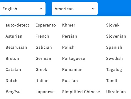 Example screenshot of LanguageTool's language features.