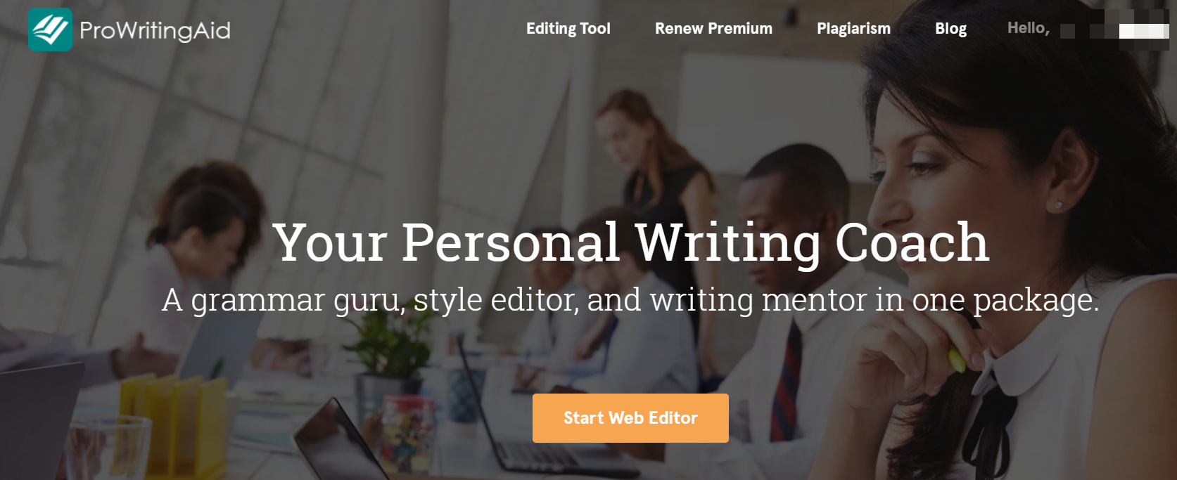 ProWritingAid Grammar Homepage