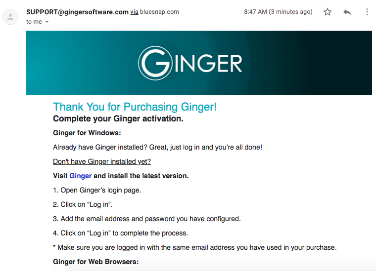 Example screenshot of Ginger Grammar receipt.