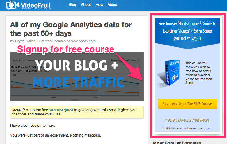 Lead generation magnet on VideoFruit's homepage