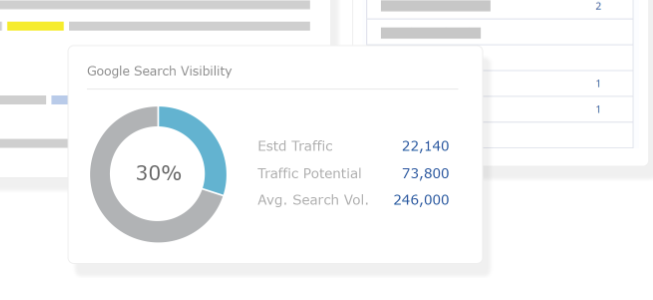 Google Search Visibility section