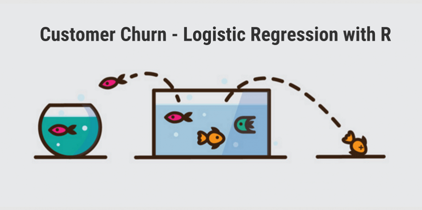 An illustration of customer churn rate