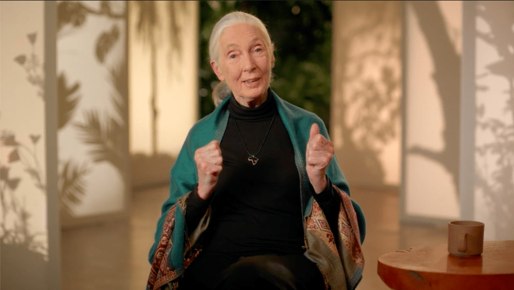 Image of Jane Goodall teaching in her MasterClass