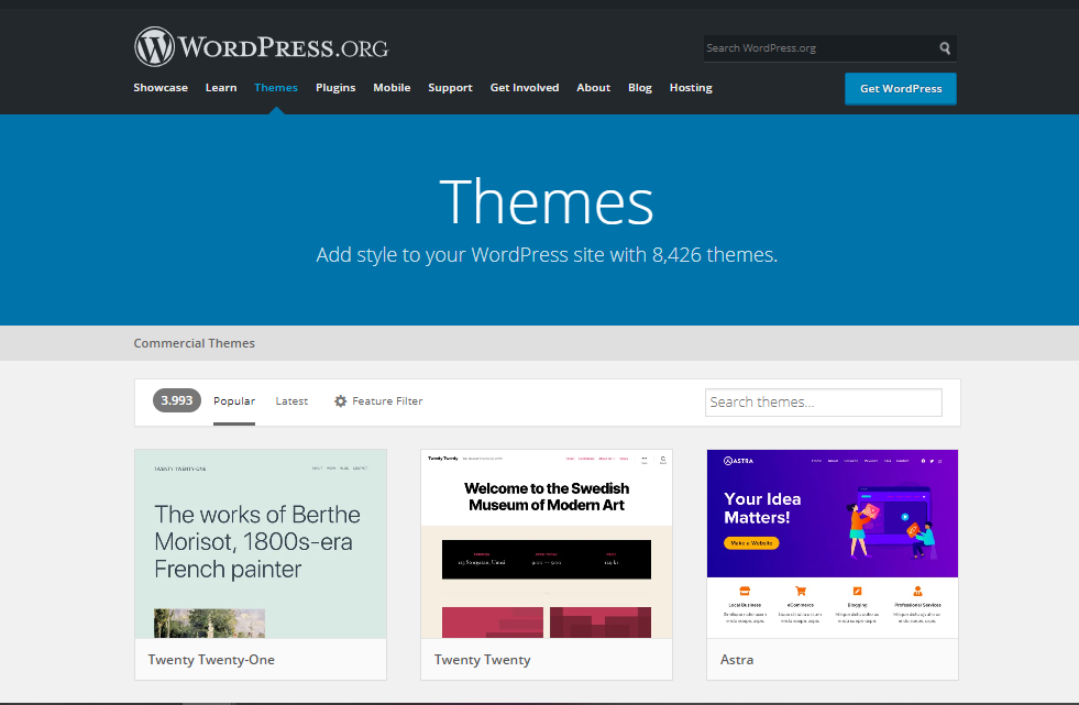 wordpress themes