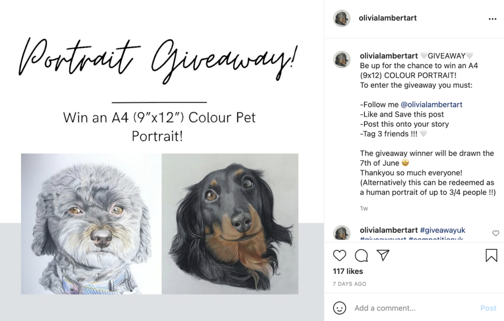 sample portrait giveaway