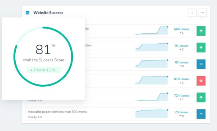 ryte website success