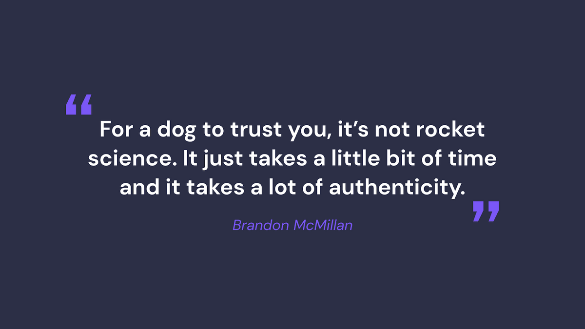 Brandon Mcmillan quote on dog trust