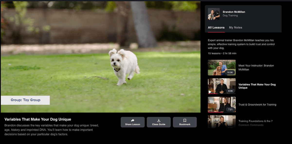 Brandon McMillan MasterClass lesson on dog traits