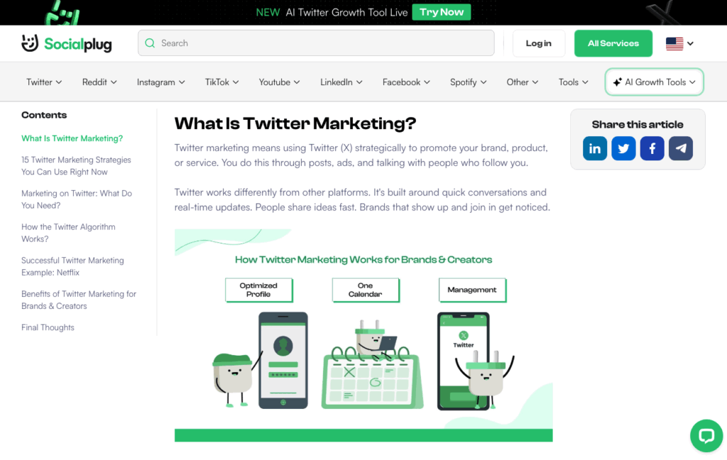 Screenshot of Socialplug website showing a definition of Twitter marketing